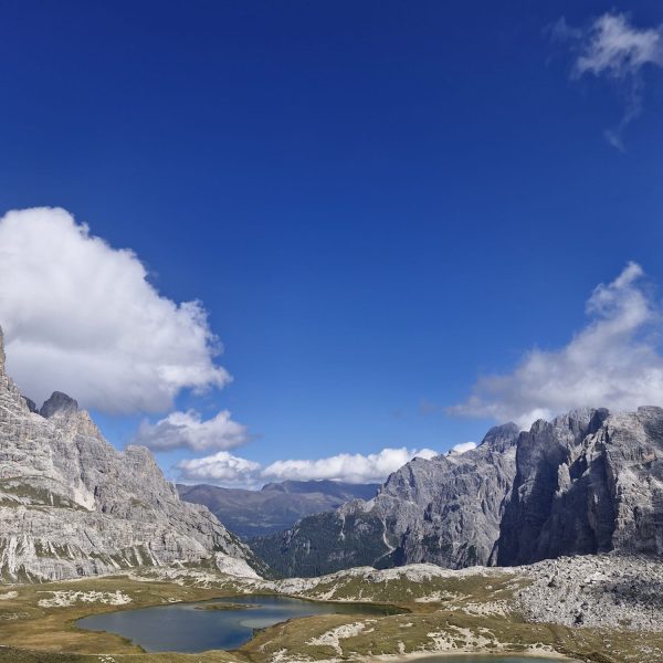 38c3766d-518b-4f56-b7eb-c4c2c40da4ea