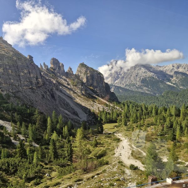 3ac1bde7-a517-498e-975a-74d814e65644