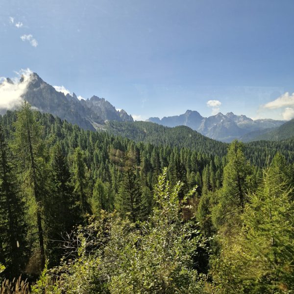 3c849844-22b9-481a-8520-1548ba6f6fb2