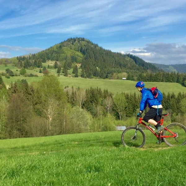 5F9A51AA-7591-4F66-96C6-2C78E5FB5771-scaled