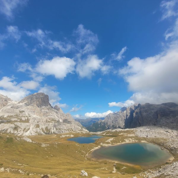 5c6c2215-b601-4f96-86e8-1f7418b43351