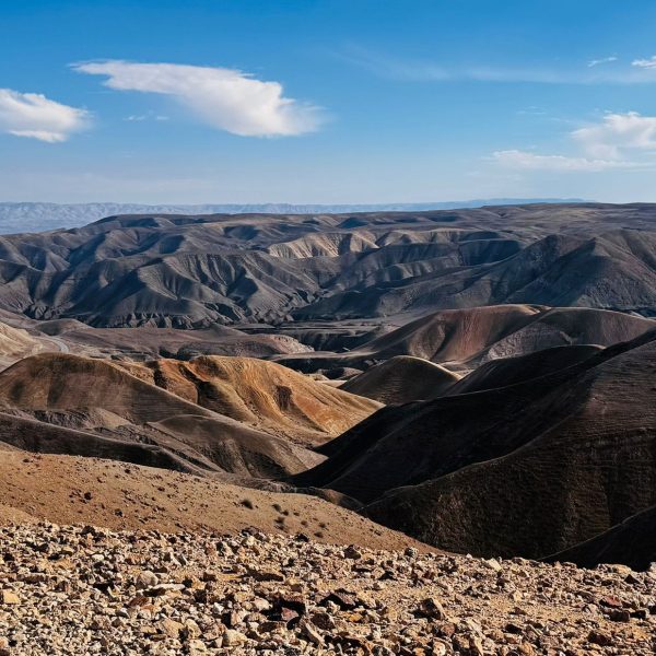 600338988_1321361716676879_4278573857515165329_n