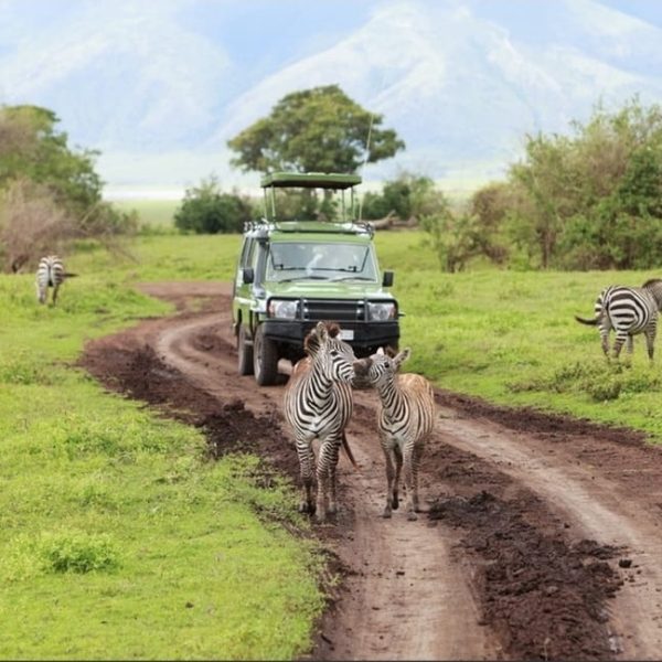 68a84386-0579-4774-abff-e9770cfdad16