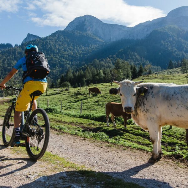 6b3042af-0965-40af-8c4e-fc71cd84002f