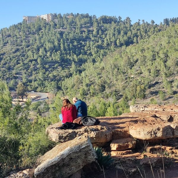 74bd6b40-793a-4eb8-9959-d6b084928315