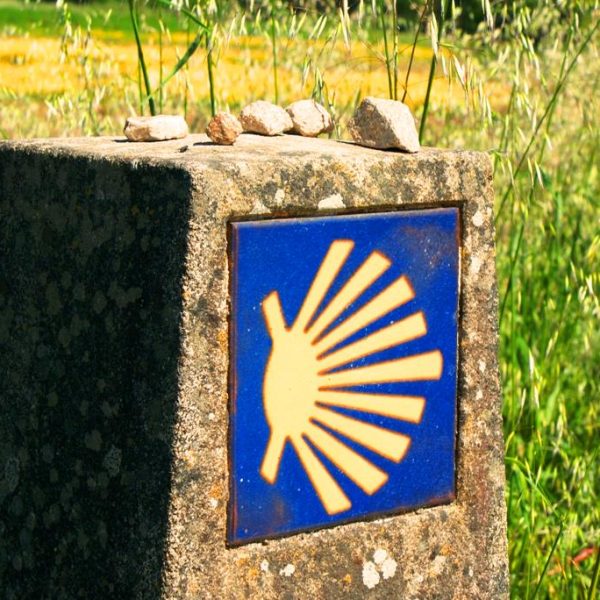 7a