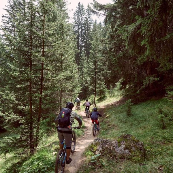 95efcebb-9c4b-4b06-88c9-de09118ddae3