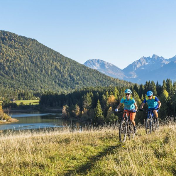 9b7fce33-d8f1-4ee9-921e-53146e3ae106