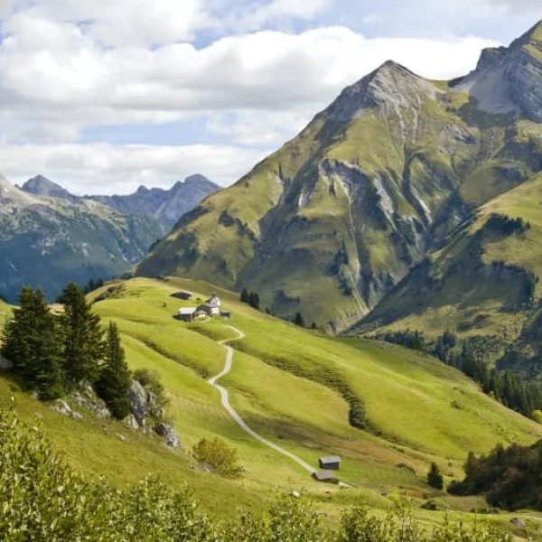 ac0eb1a7-a86e-4e11-be44-f550c56e350e