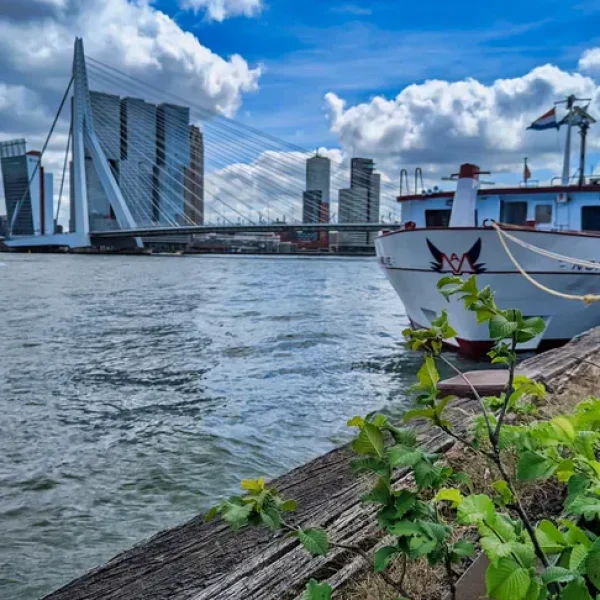 ms-normandie-rotterdam